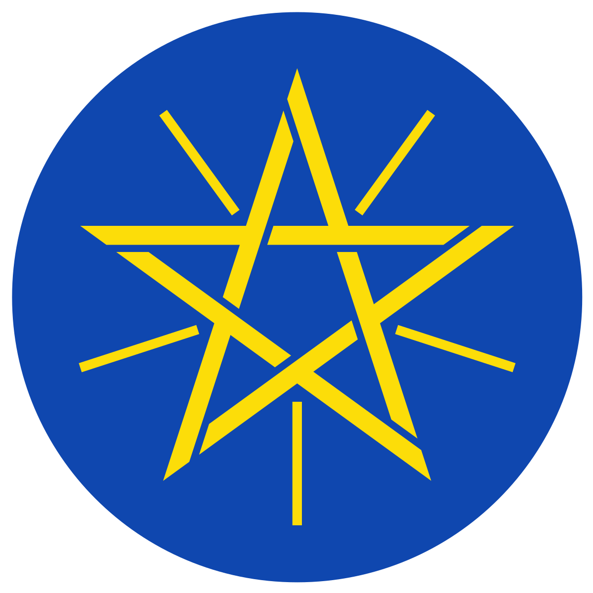 ethiopian gov